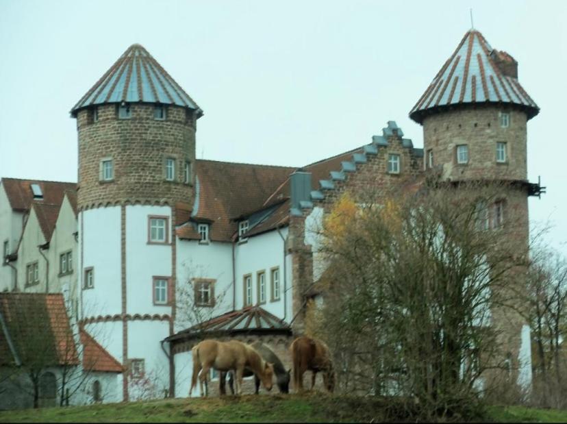 Luxus Appartement Im Schloss Fockelberg 外观 照片