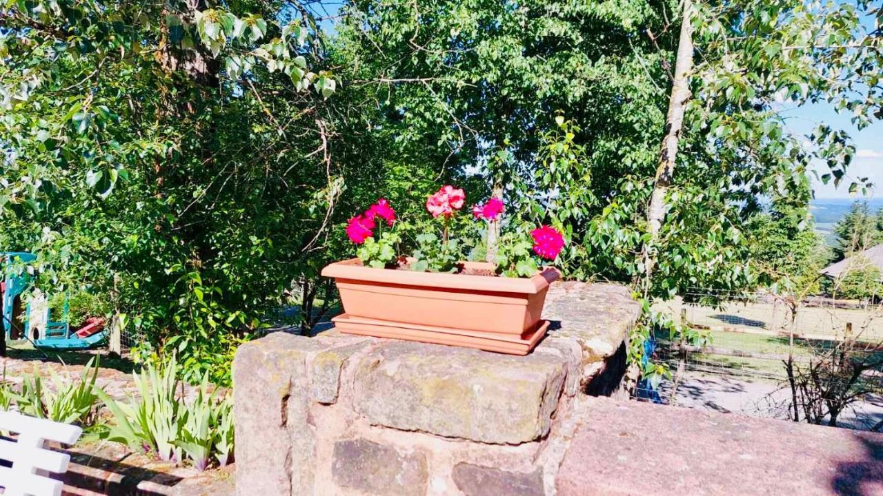 Luxus Appartement Im Schloss Fockelberg 外观 照片